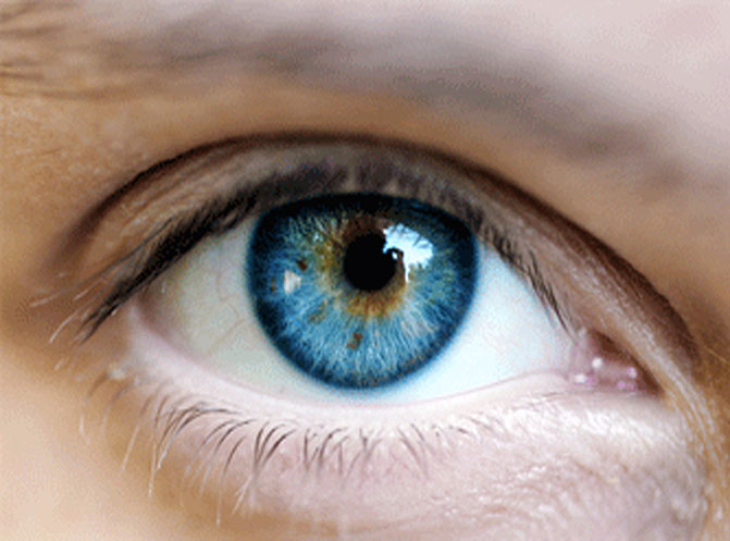 Görme Bozuklukları